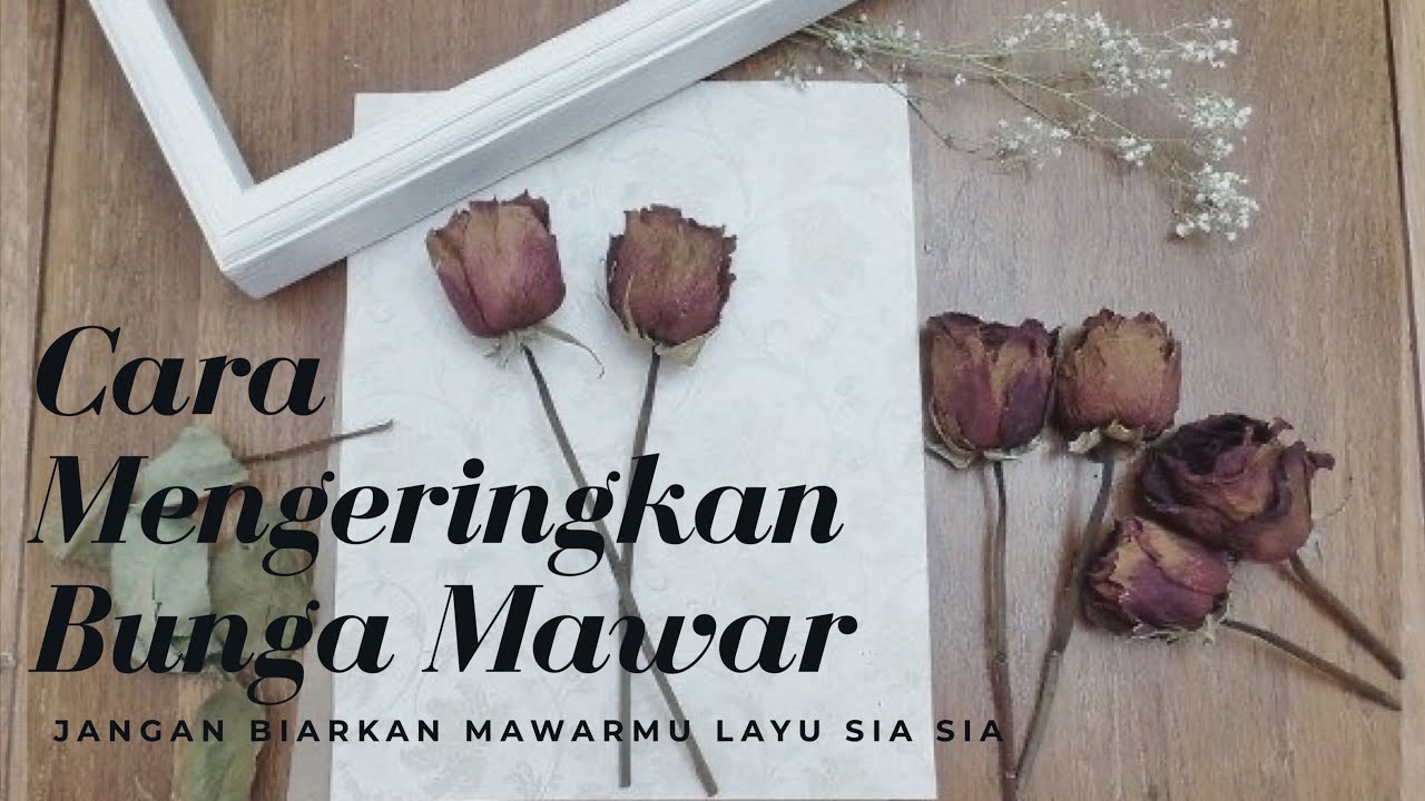 Detail Daun Mawar Rontok Nomer 50