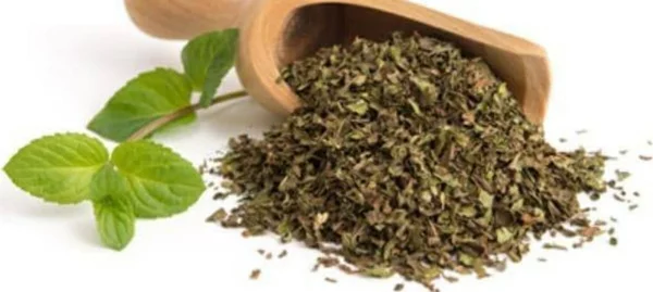 Detail Daun Mint Kering Nomer 24
