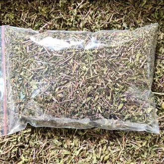 Detail Daun Mint Kering Nomer 37