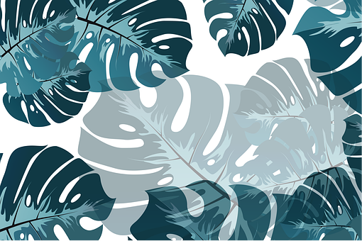 Detail Daun Monstera Background Nomer 29