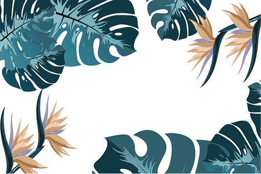 Detail Daun Monstera Background Nomer 48