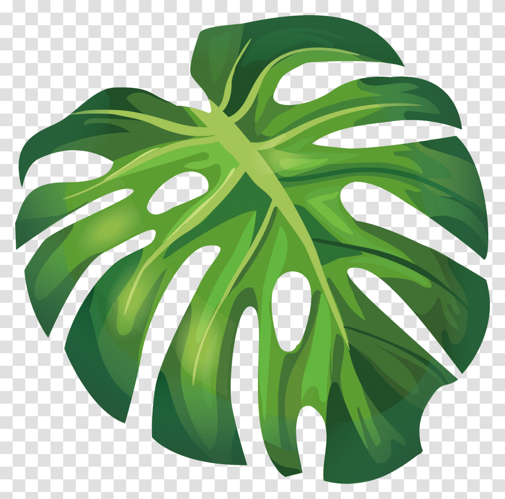 Detail Daun Monstera Vector Nomer 18