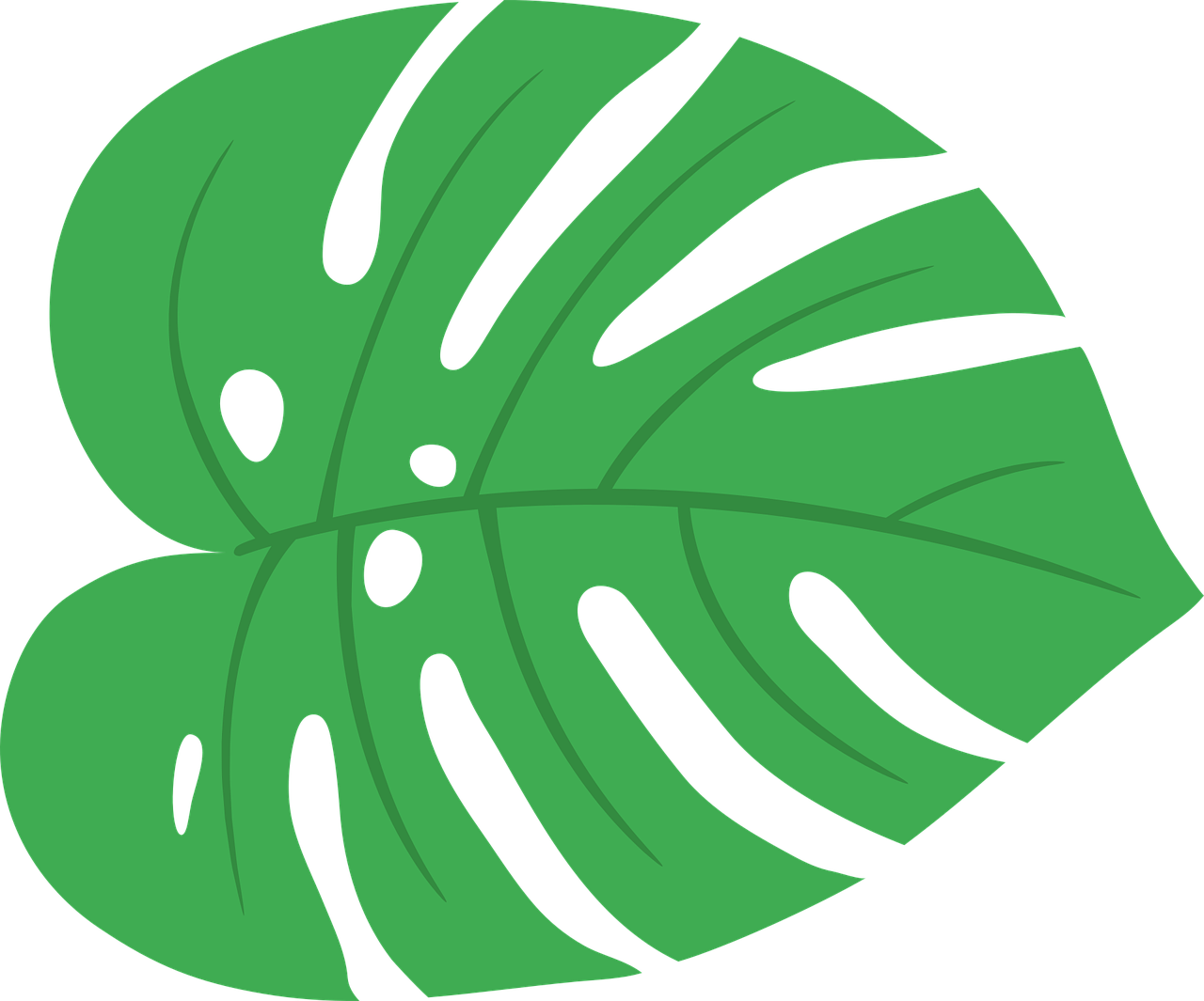Detail Daun Monstera Vector Nomer 19