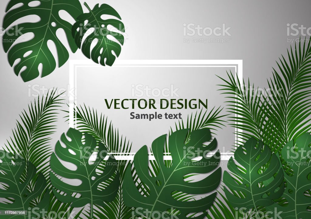 Detail Daun Monstera Vector Nomer 27