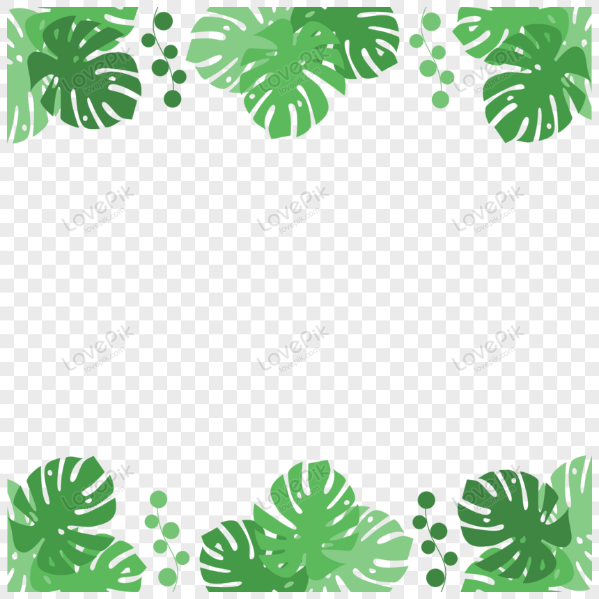 Detail Daun Monstera Vector Nomer 28