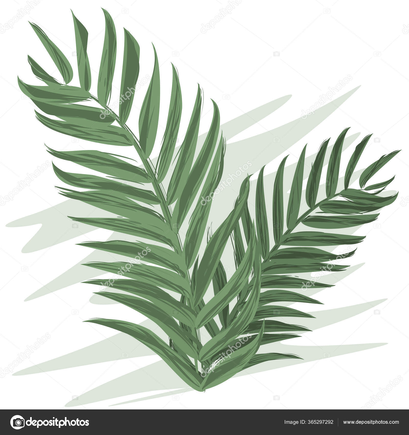 Detail Daun Monstera Vector Nomer 34