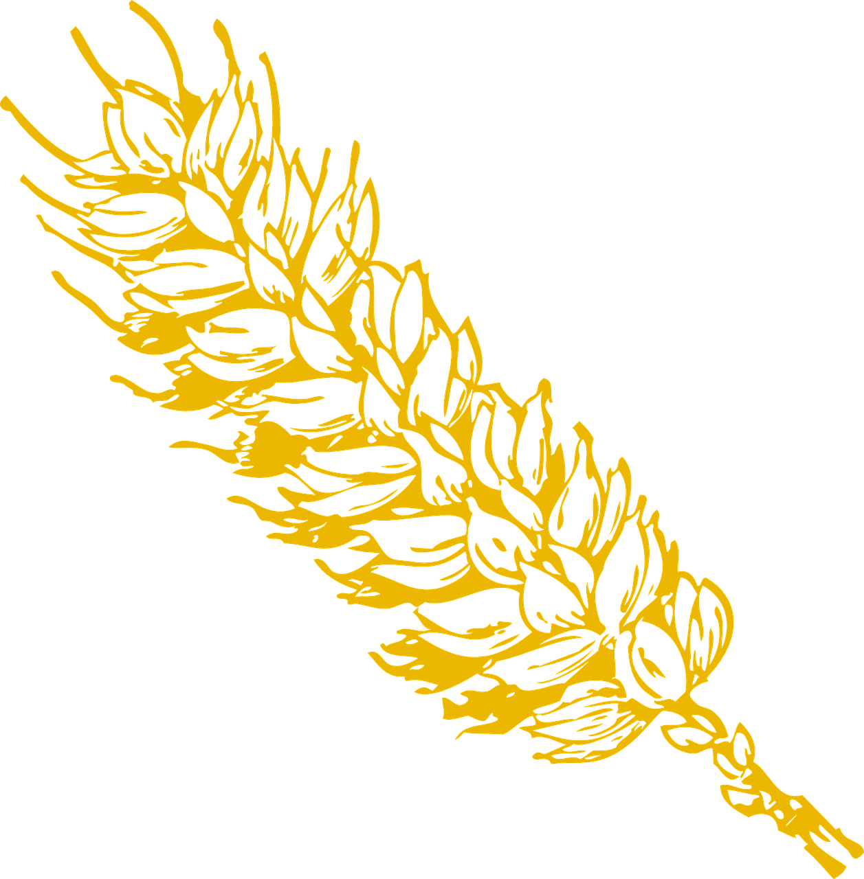 Logo, Rumput, Daun Gambar Png
