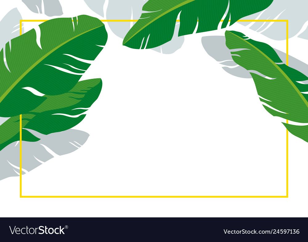 Daun Pisang Vector - KibrisPDR