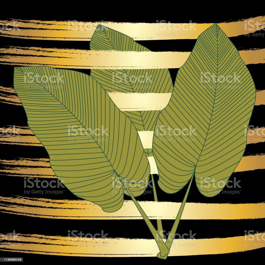 Detail Daun Pisang Vector Nomer 42