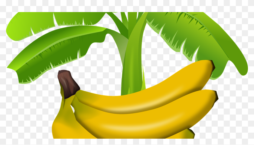 Detail Daun Pisang Vector Nomer 47