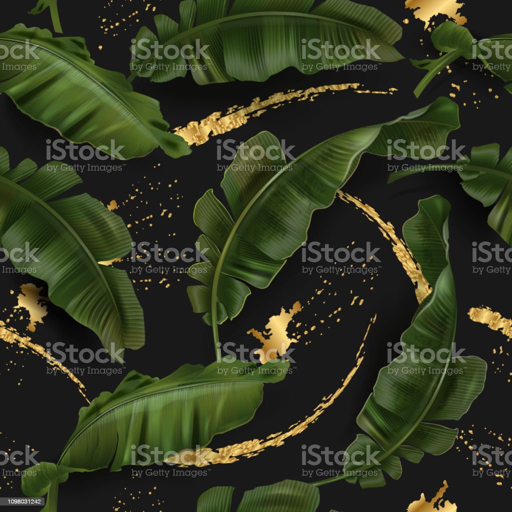 Detail Daun Pisang Vector Nomer 54