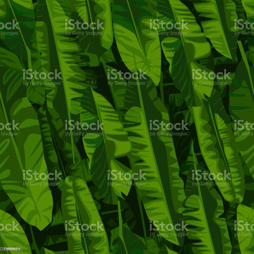 Detail Daun Pisang Wallpaper Nomer 18