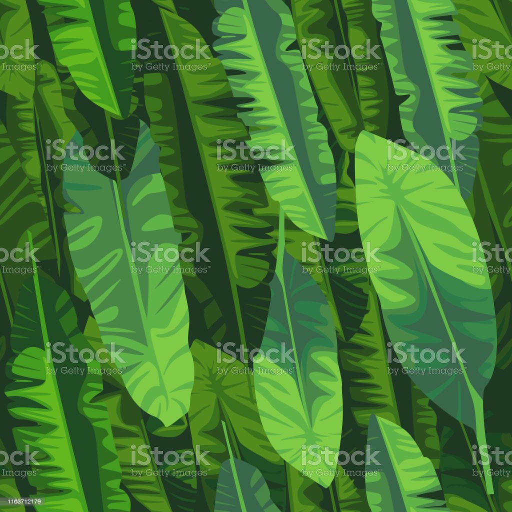 Detail Daun Pisang Wallpaper Nomer 19