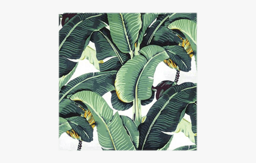 Detail Daun Pisang Wallpaper Nomer 34