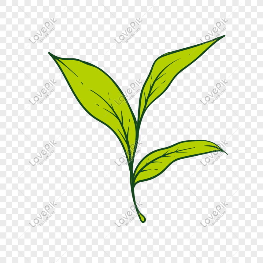 Detail Daun Png Free Nomer 20