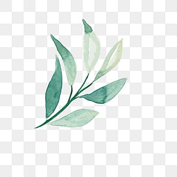 Detail Daun Png Free Nomer 23