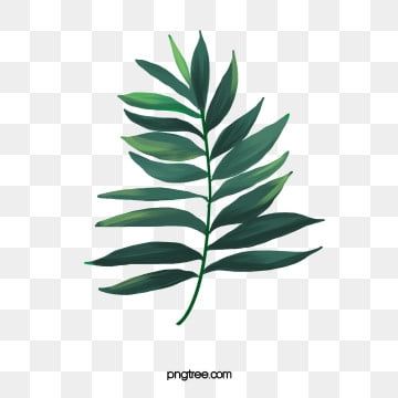 Detail Daun Png Free Nomer 25