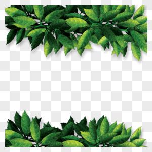 Detail Daun Png Hd Nomer 27