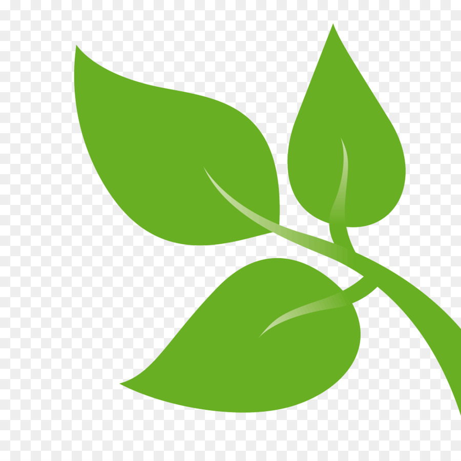 Detail Daun Png Hd Nomer 28