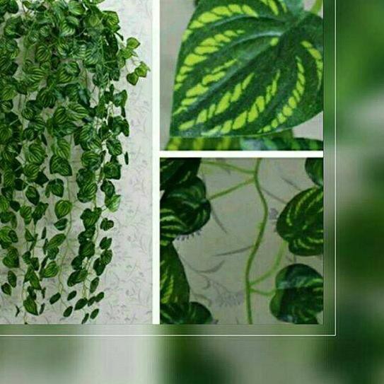 Detail Daun Rambat Plastik Murah Nomer 41