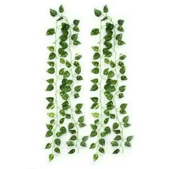 Detail Daun Rambat Png Nomer 46