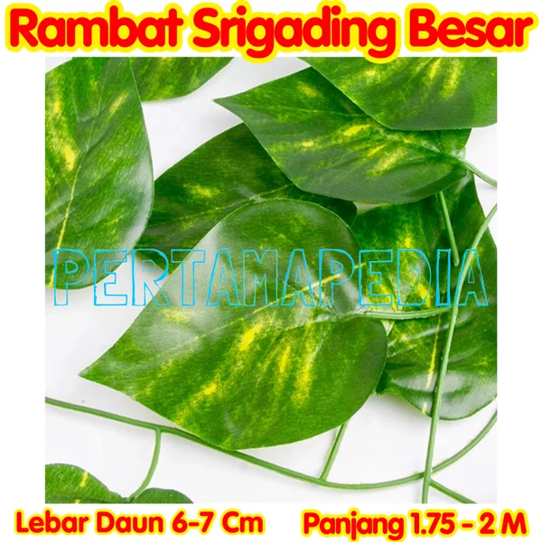 Detail Daun Rambat Png Nomer 53