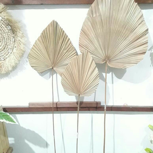 Detail Daun Rustic Nomer 19