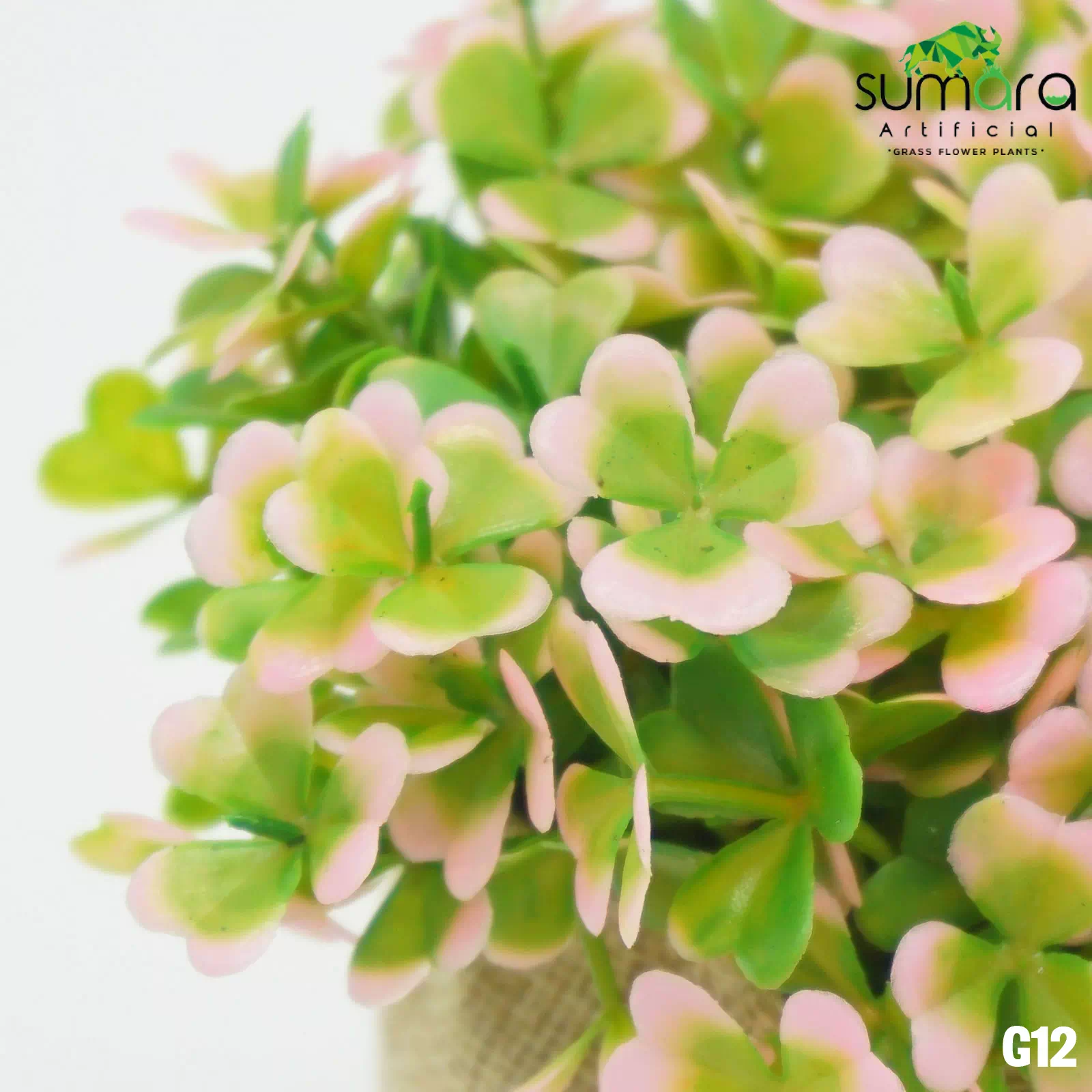 Detail Daun Semanggi 5 Nomer 52