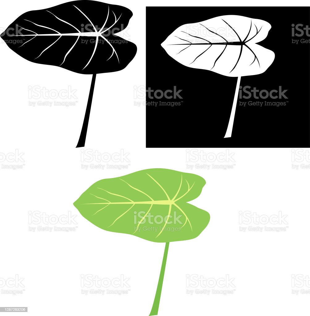 Daun Talas Vector - KibrisPDR