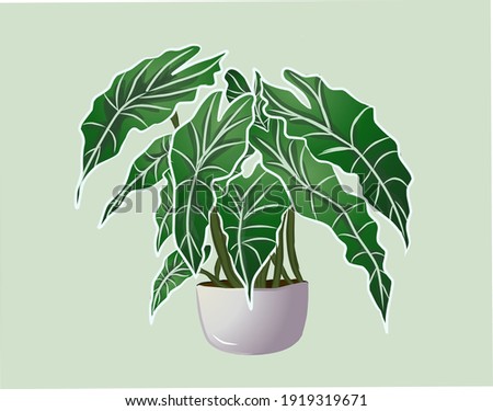 Detail Daun Talas Vector Nomer 40