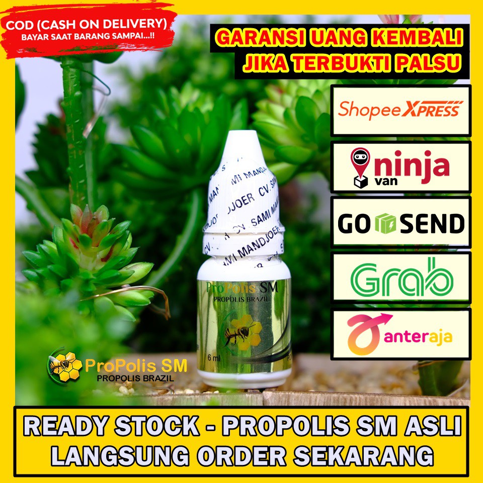 Detail Daun Telinga Menghitam Nomer 35