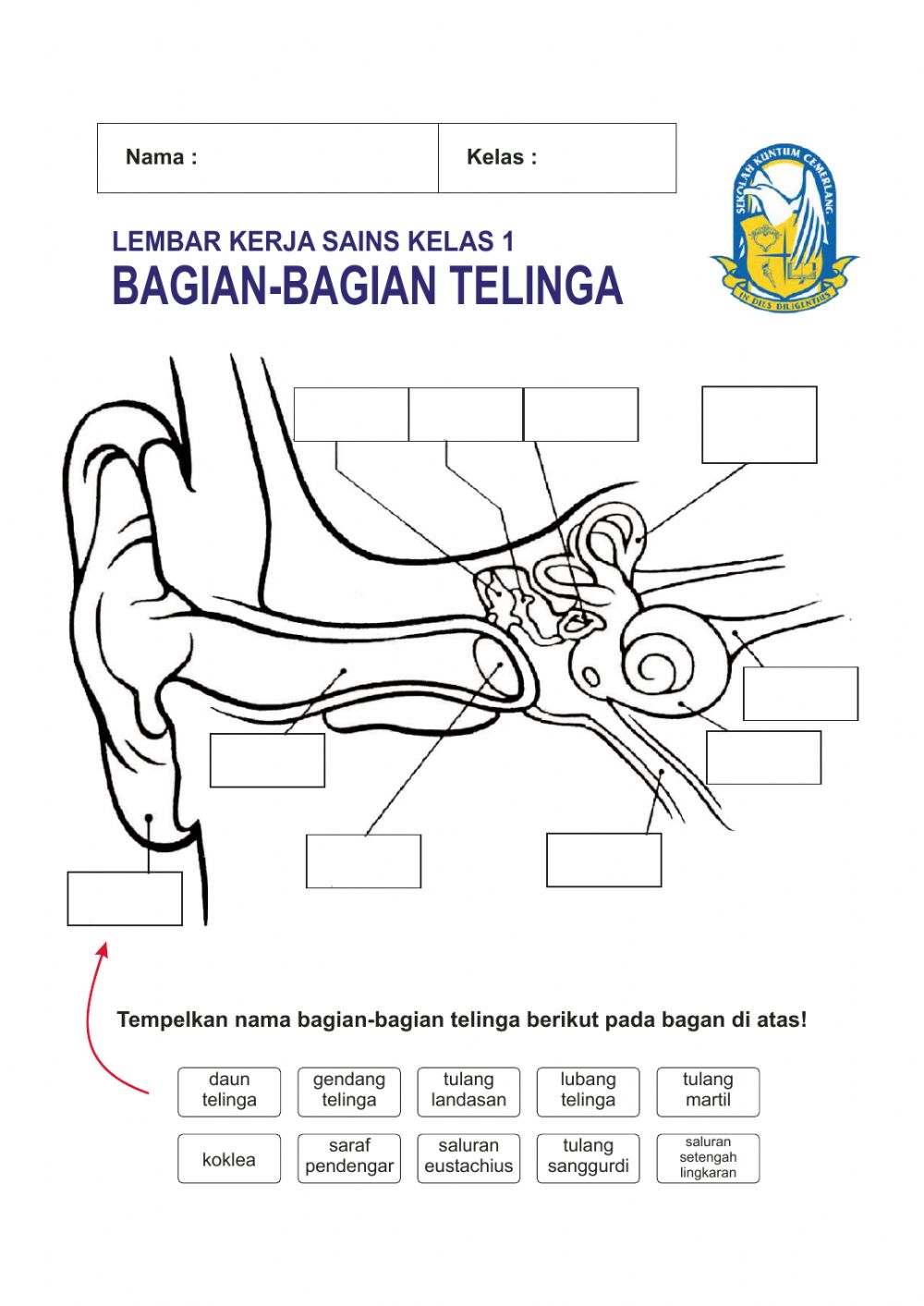 Detail Daun Telinga Menghitam Nomer 51