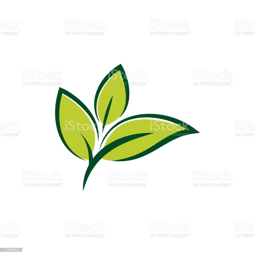 Detail Daun Vector Nomer 12