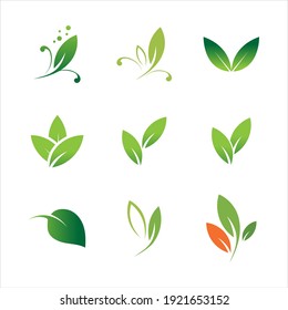 Detail Daun Vector Nomer 23