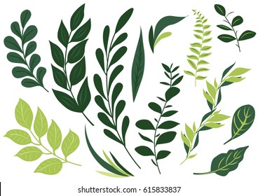 Detail Daun Vector Nomer 5