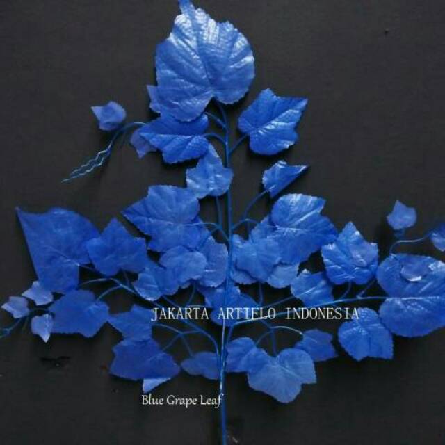 Detail Daun Warna Biru Nomer 6