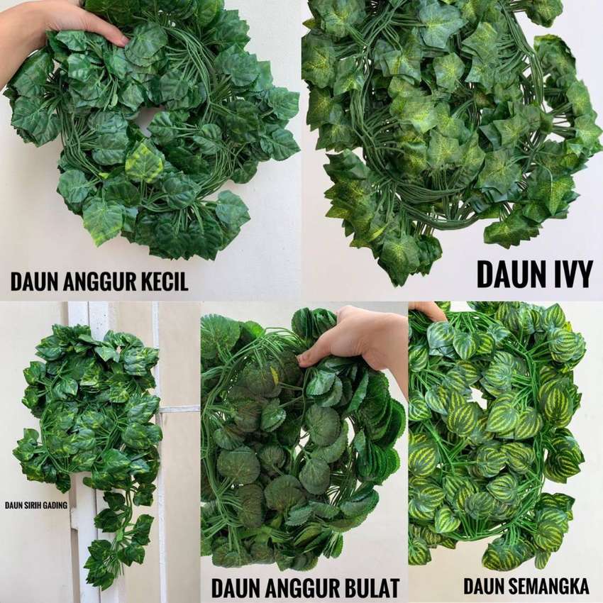 Detail Daun Yang Dipakai Untuk Hiasan Nomer 19