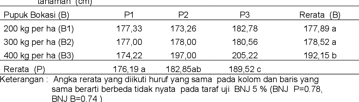 Detail Daun Zea Mays Nomer 25