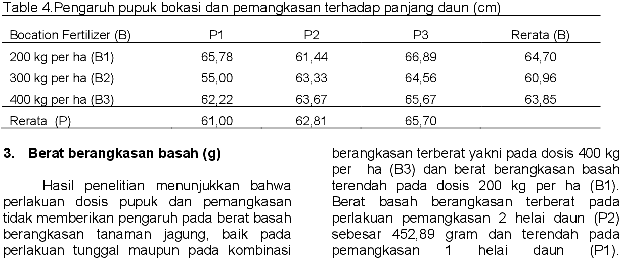 Detail Daun Zea Mays Nomer 32