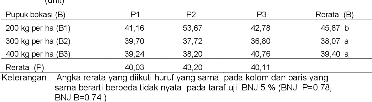 Detail Daun Zea Mays Nomer 39