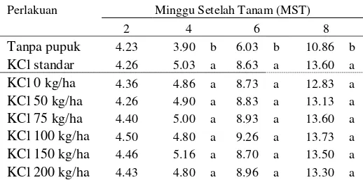 Detail Daun Zea Mays Nomer 45