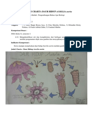 Detail Daur Hidup Aurelia Nomer 49