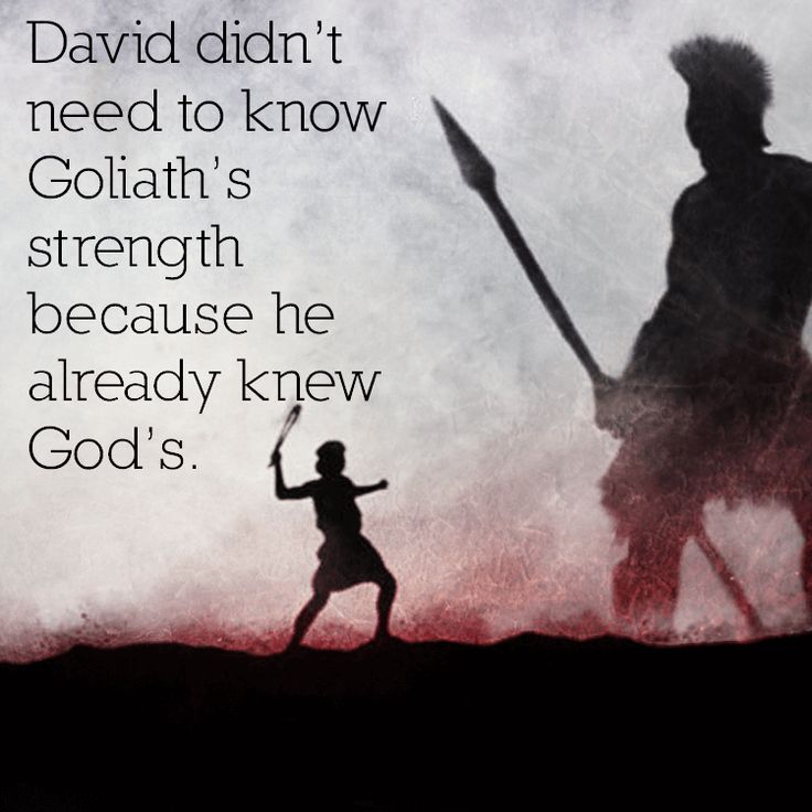 Detail David And Goliath Quotes Nomer 12