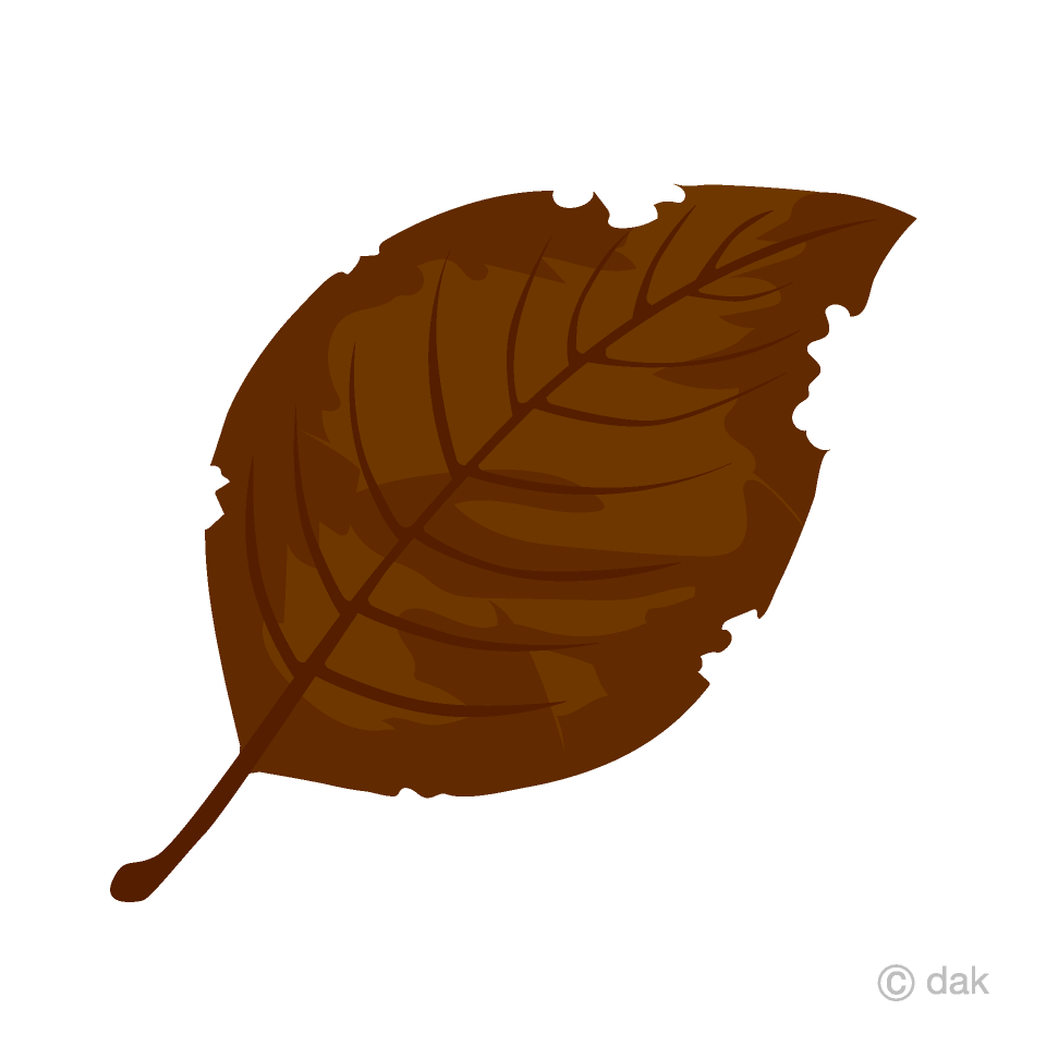 Detail Dead Leaf Png Nomer 18