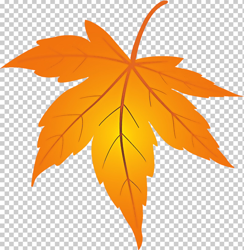 Detail Dead Leaf Png Nomer 26