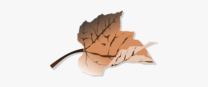 Detail Dead Leaf Png Nomer 31