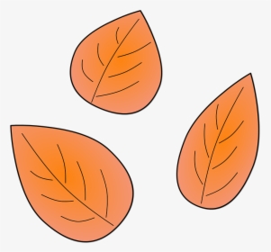 Detail Dead Leaf Png Nomer 41