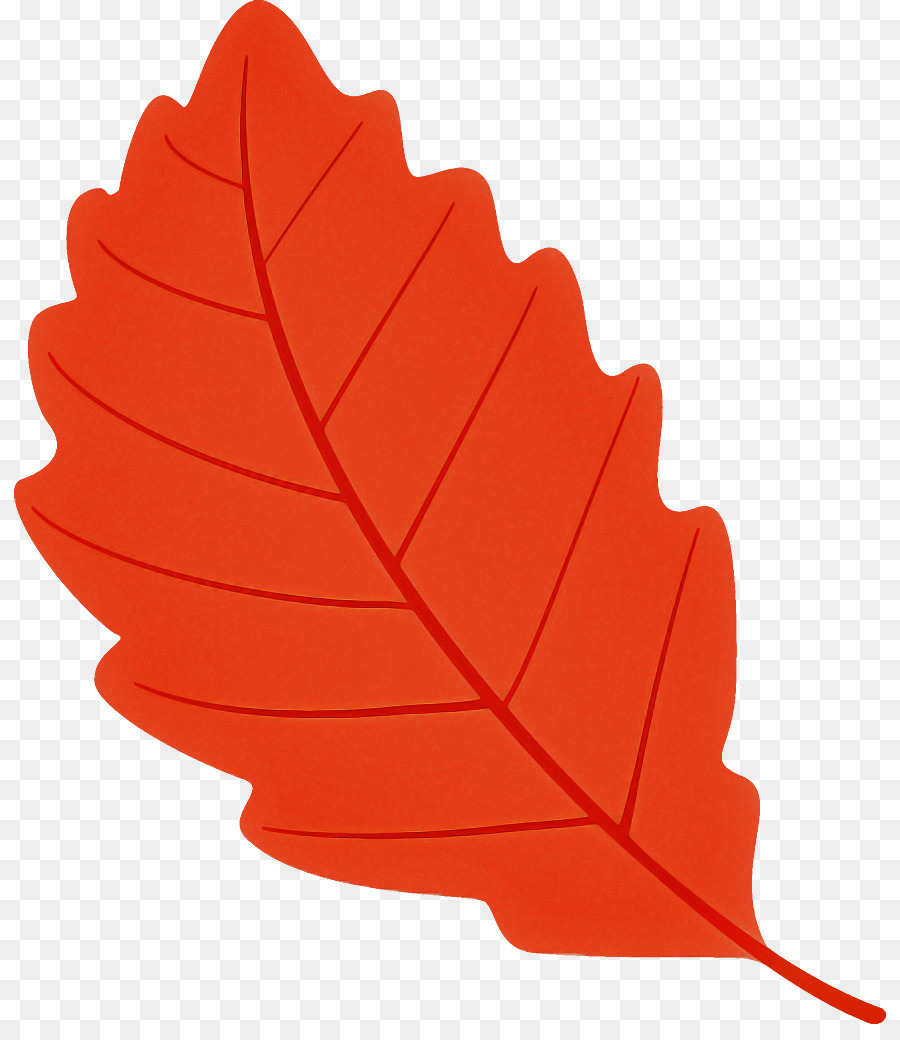 Detail Dead Leaf Png Nomer 45