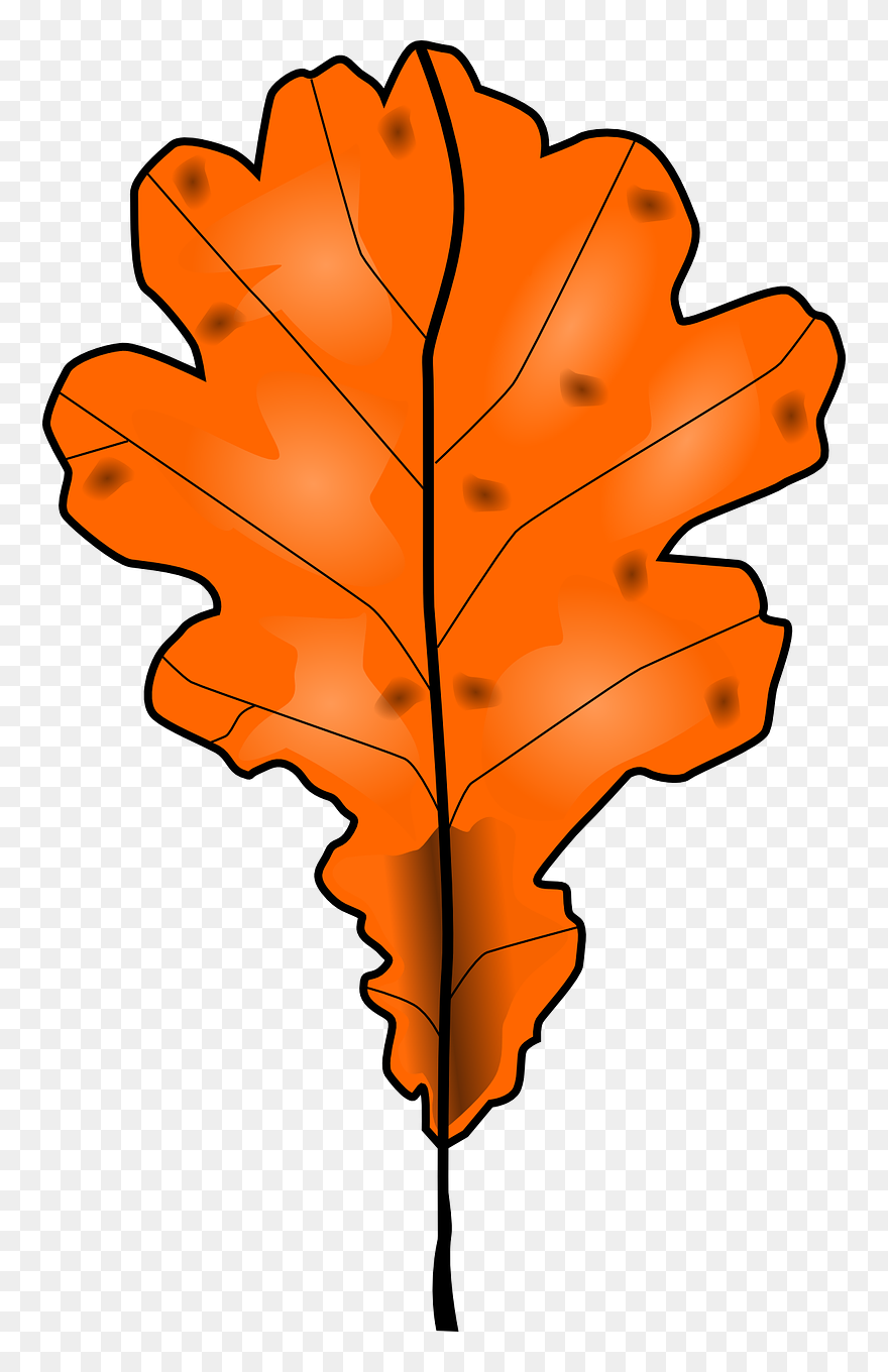 Detail Dead Leaf Png Nomer 51