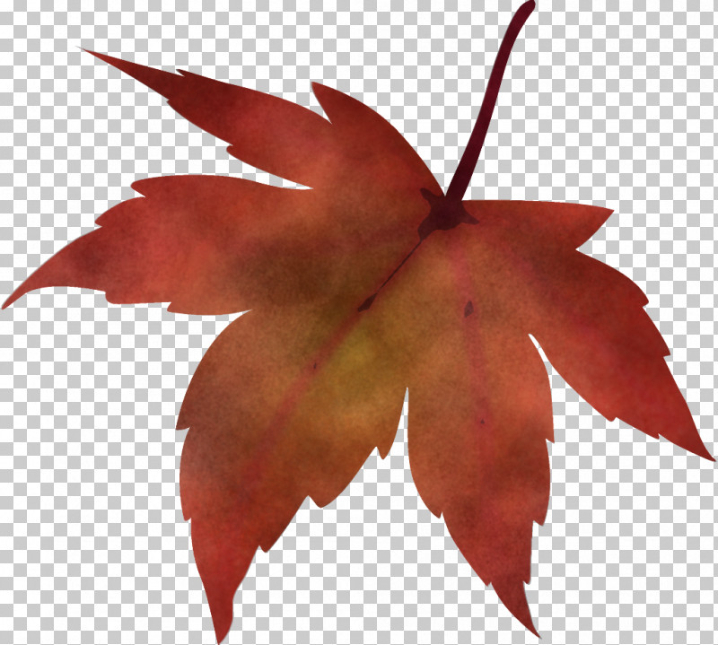 Detail Dead Leaf Png Nomer 55